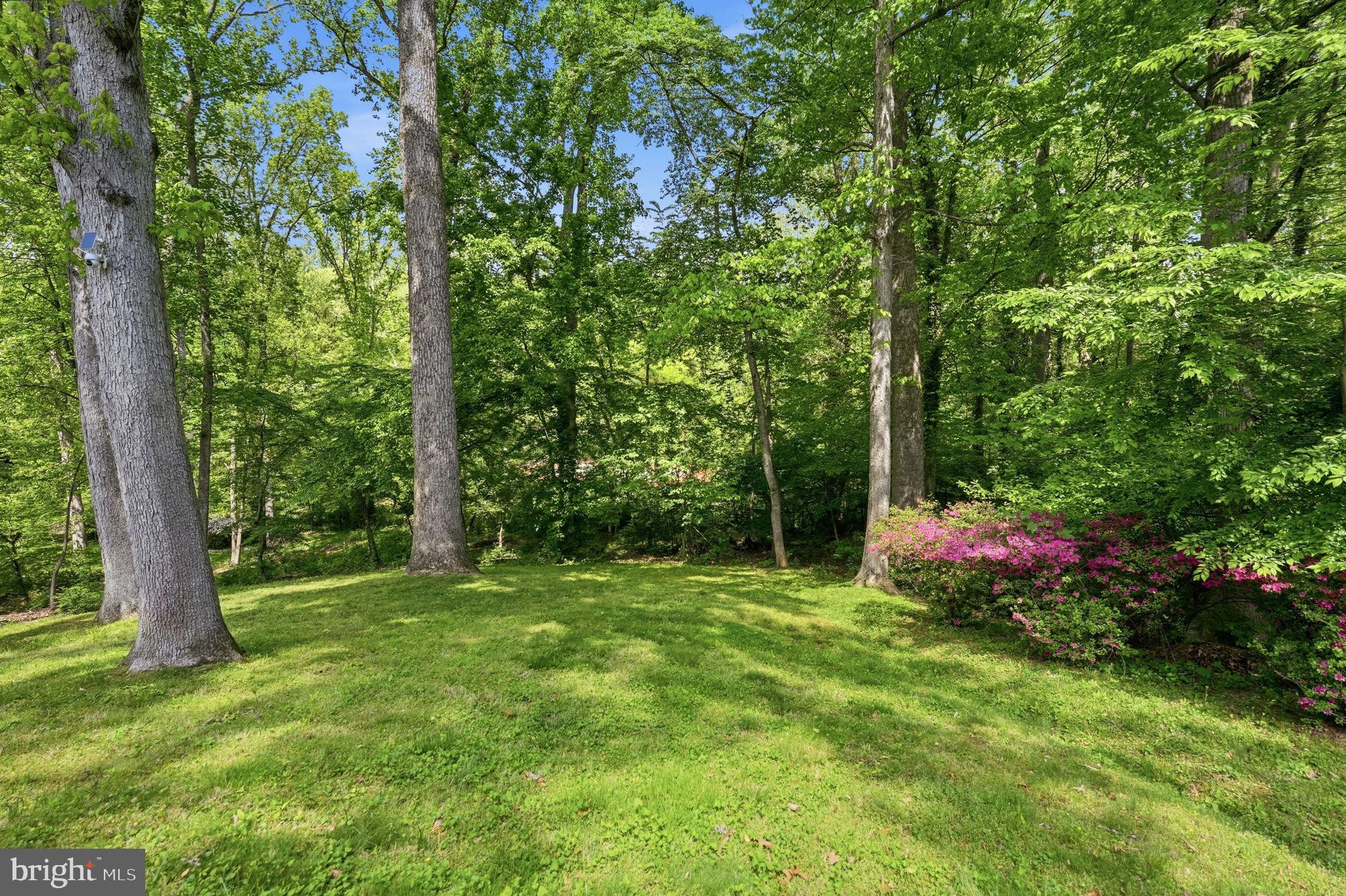 969 Spencer Road McLean, VA 22102 - Photo 48 of 56