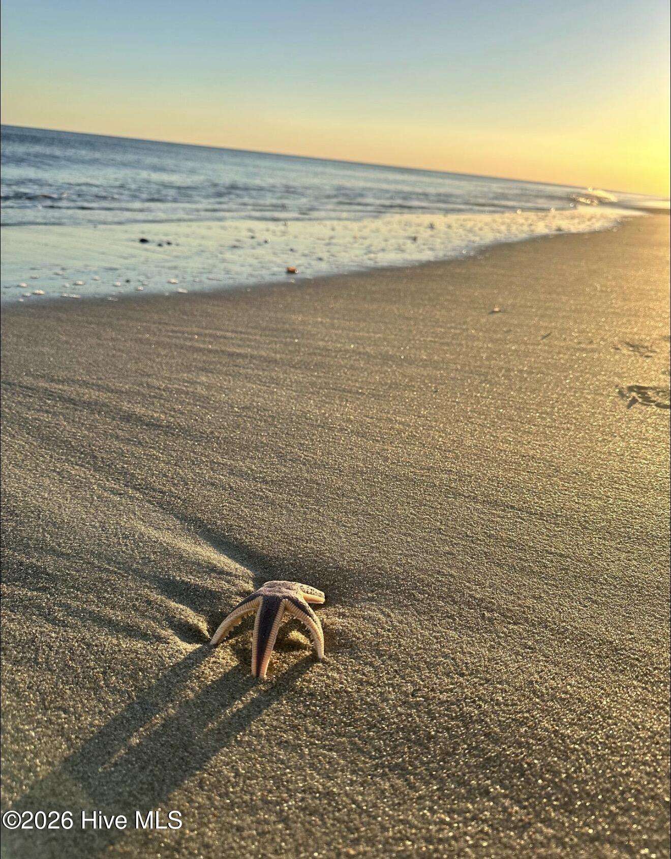 2511 West Fort Macon Road, Unit 211B Atlantic Beach, NC 28512 - Photo 32 of 38 Beach life