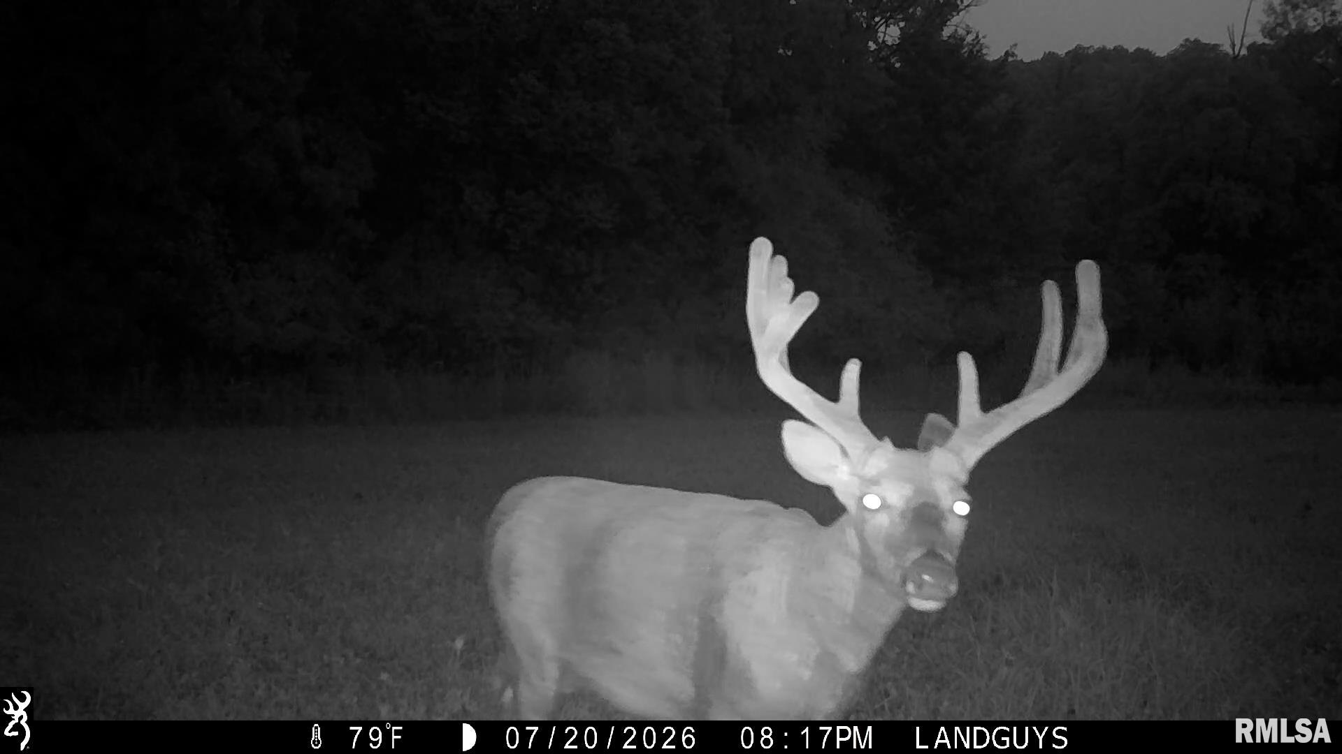 18881 East Hart Road Marietta, IL 61459 - Photo 58 of 62 Gallery Image 58