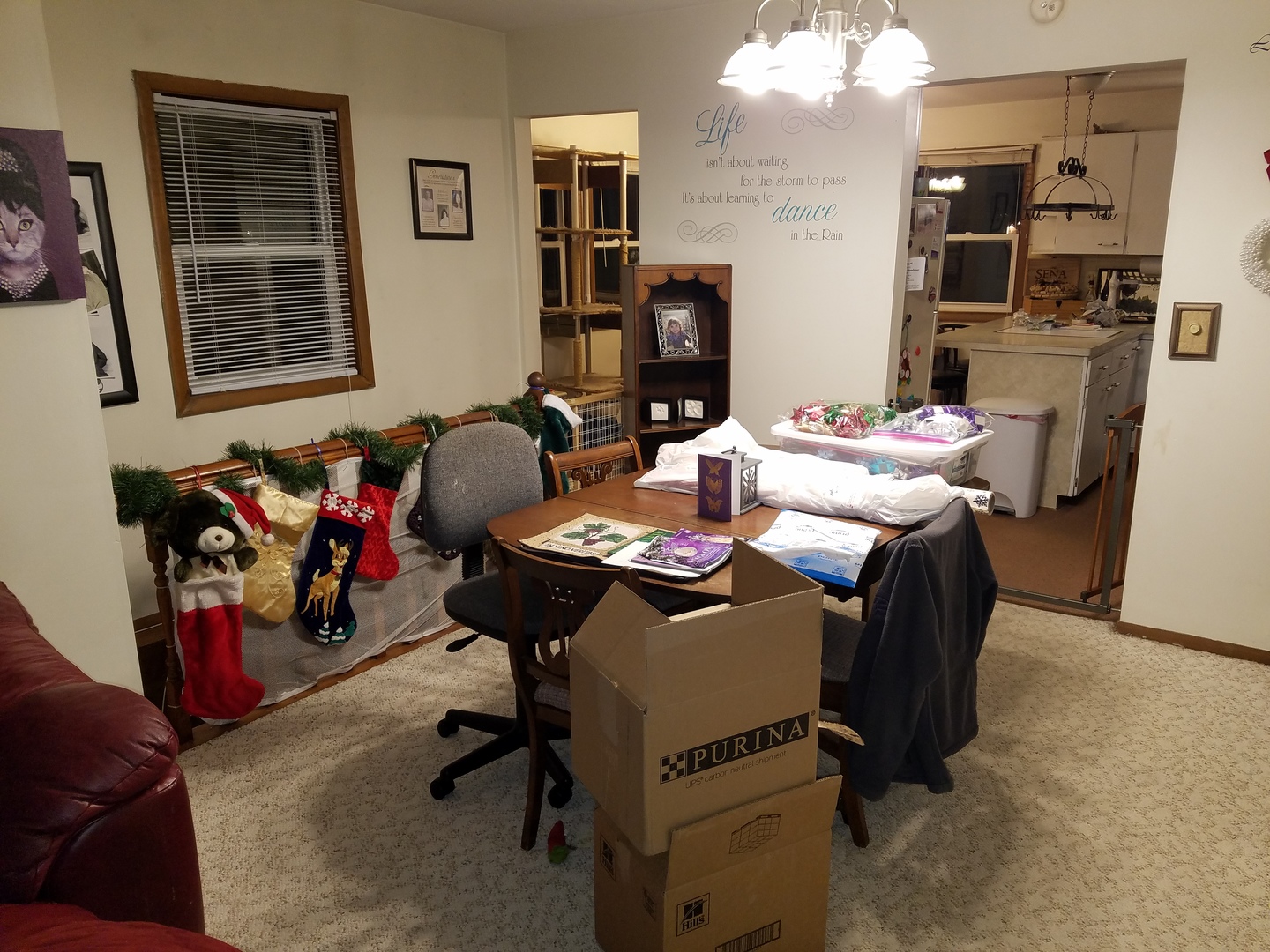 909 North Main Street Rochelle, IL 61068 - Photo 8 of 10