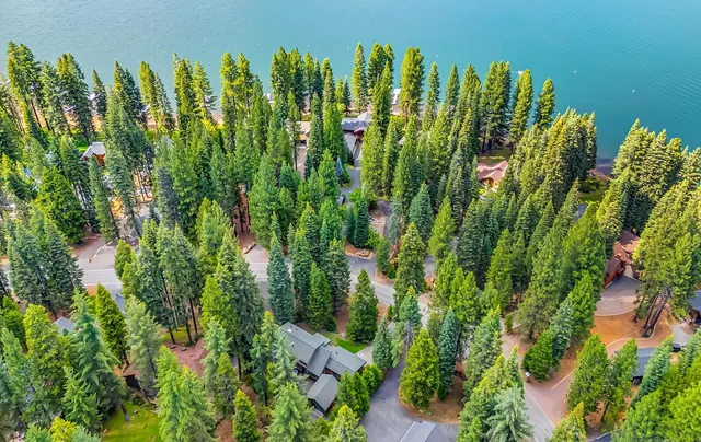 a view of a garden with plants