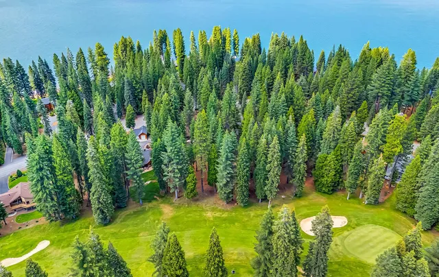a view of a garden with an umbrella