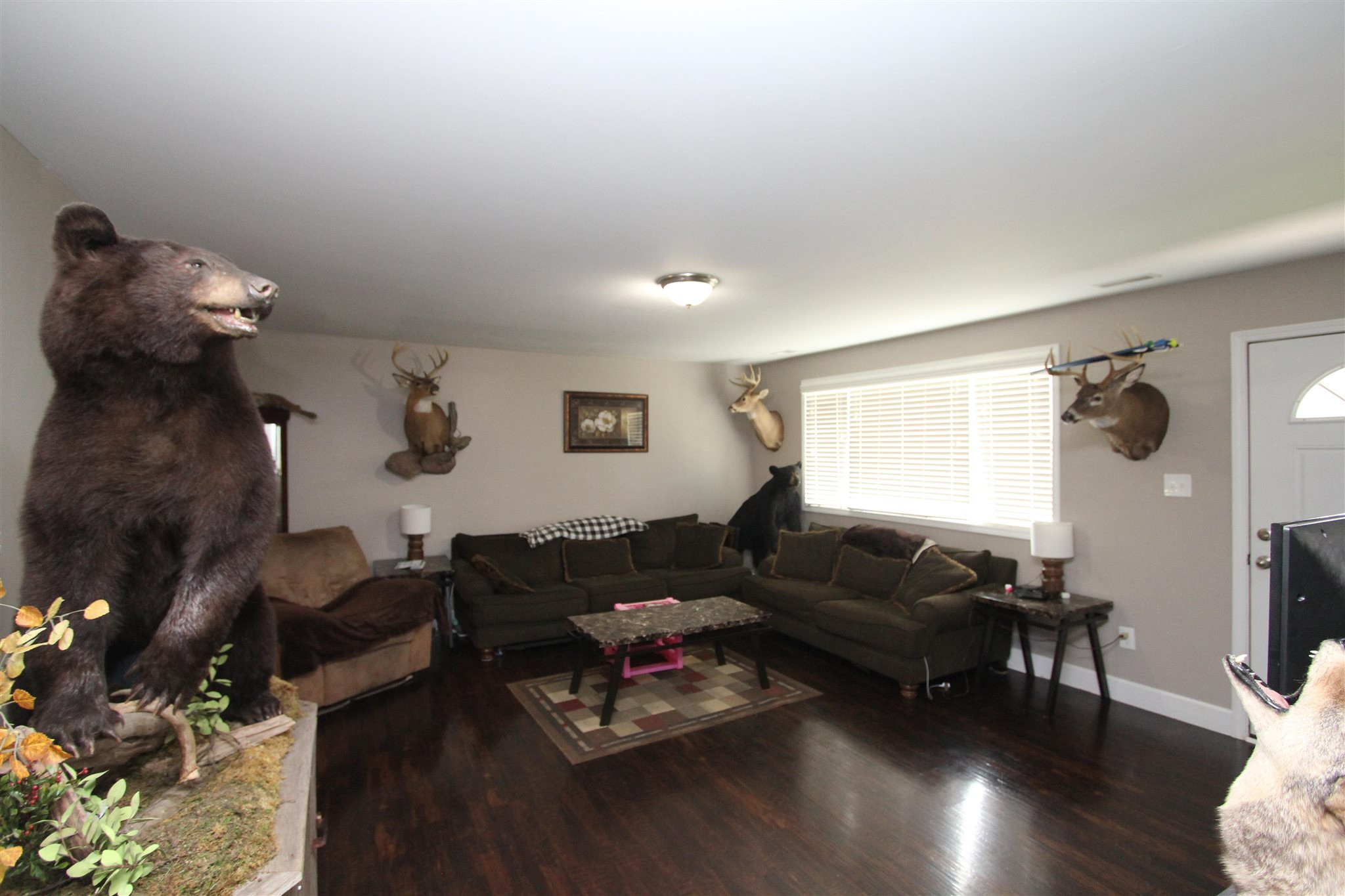 3625 Rich Road Morning View, KY 41063 - Photo 14 of 21