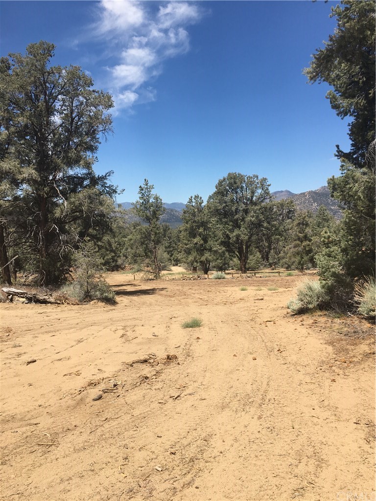 41 The Other Road Inyokern, CA 93527 - Photo 1 of 1 Gallery Image 1