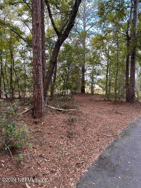 01 Southeast 159th Lane Umatilla, FL 32784 - Photo 28 of 40 a view of a tree in a yard