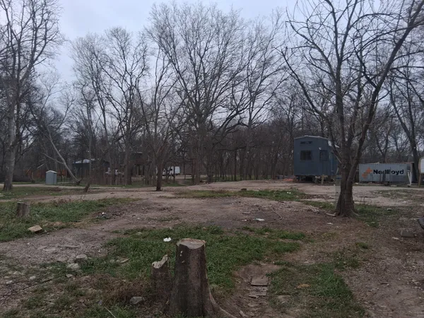 a view of a yard with a tree