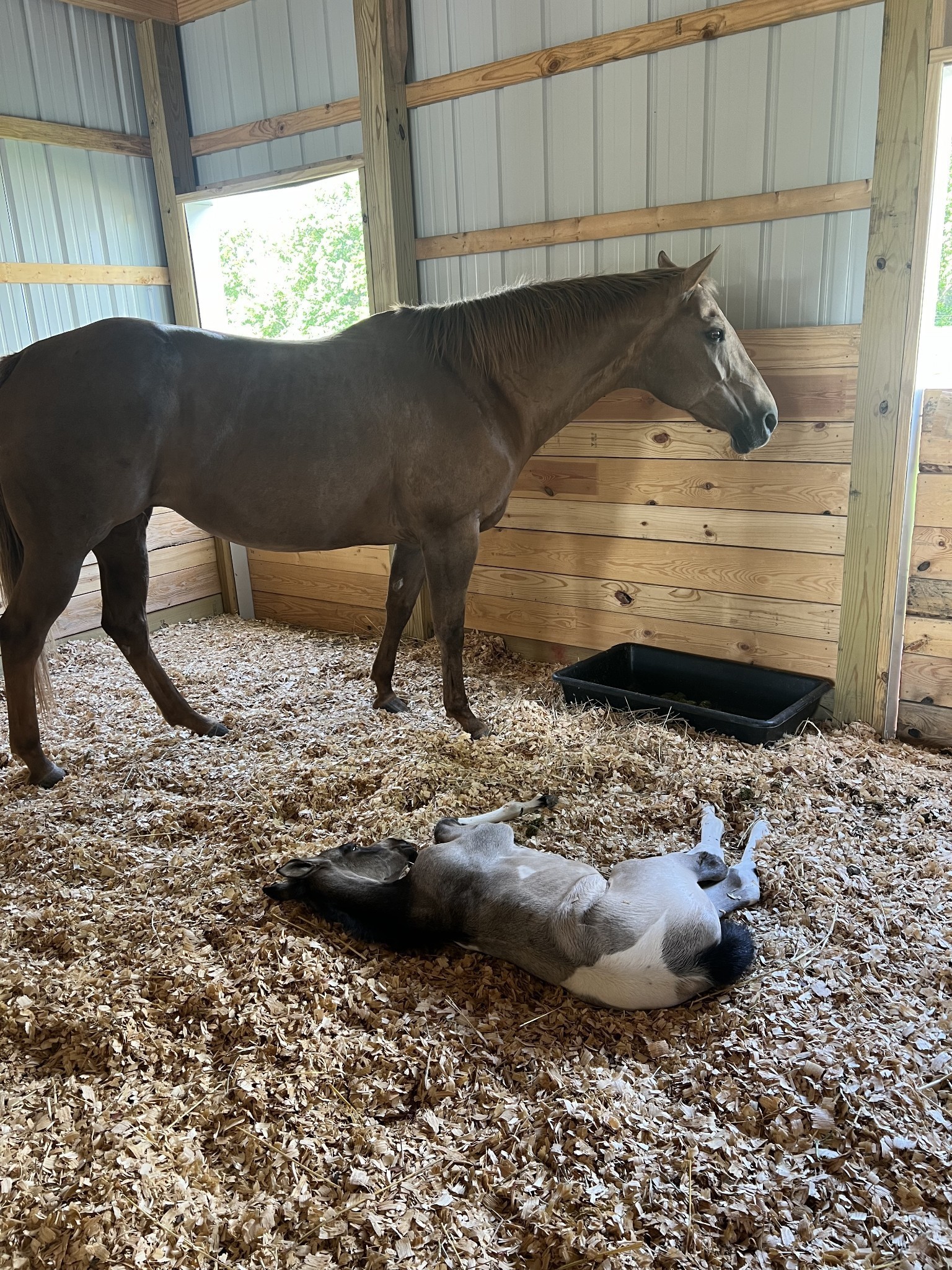 548 Buddy Road Burns, TN 37029 - Photo 45 of 47 a view of a bird of the house