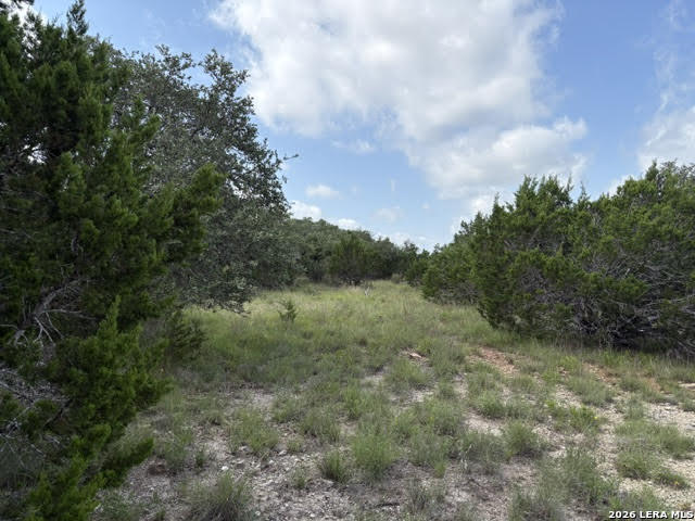 351 Ridge Point Spring Branch, TX 78070 - Photo 15 of 34