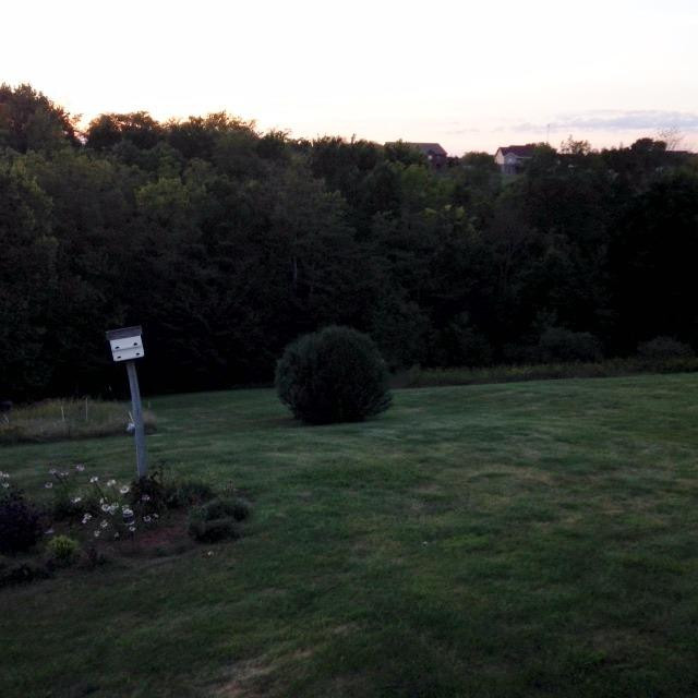 100 Saddlebrook Road Dry Ridge, KY 41035 - Photo 24 of 28