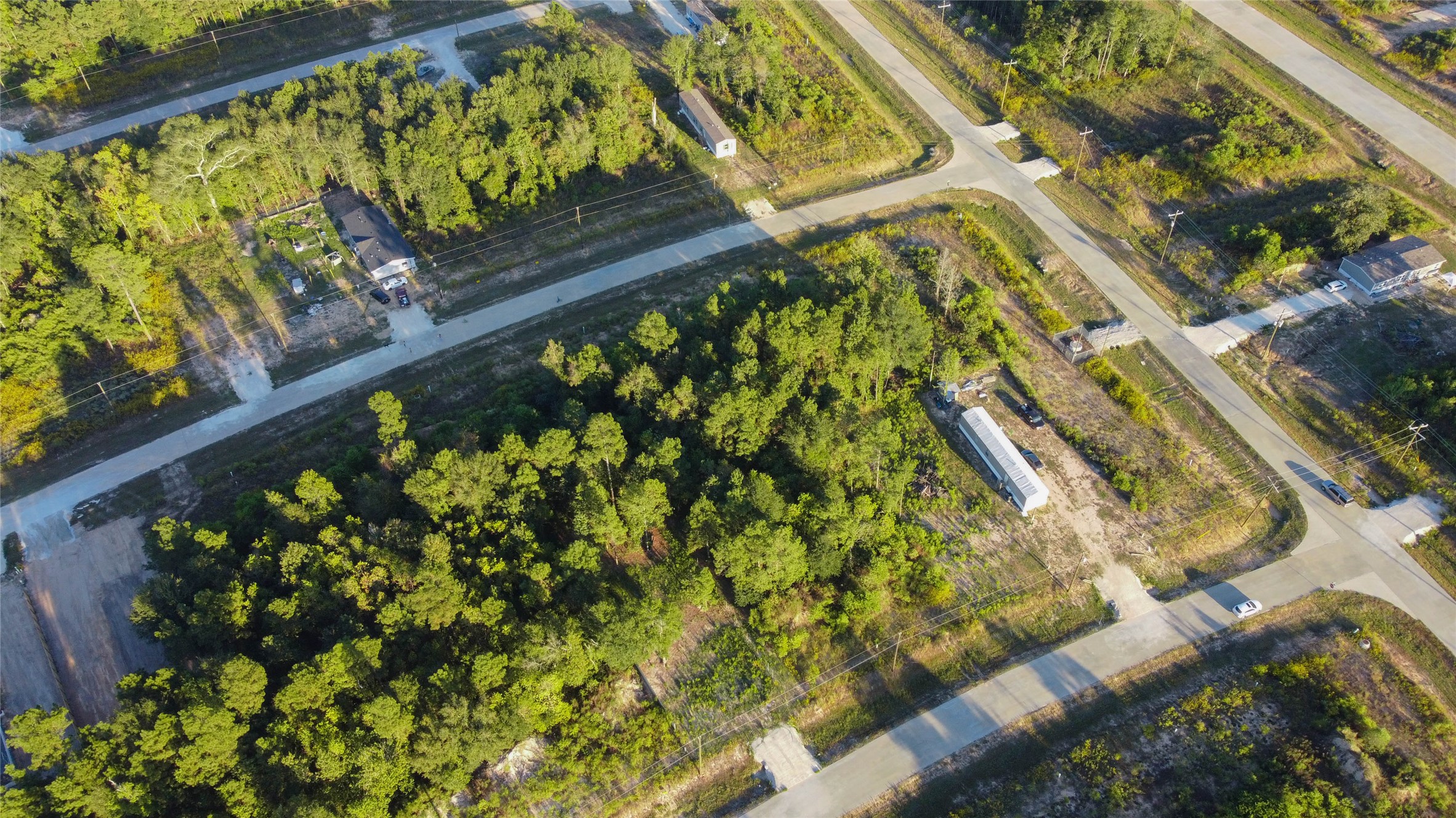 3027 Road 5913 Road, Unit 5 Cleveland, TX 77327 - Photo 4 of 5 a close up of a plant