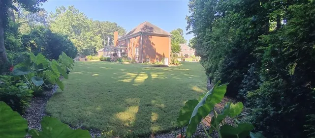 a view of a small yard with large trees