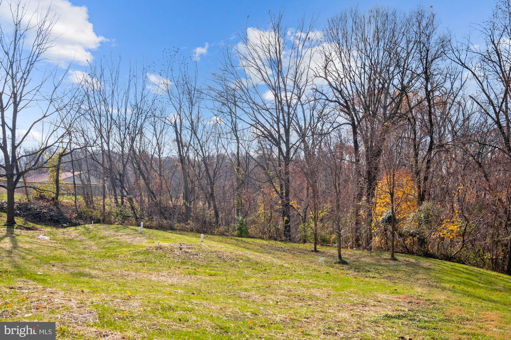 4326 Araby Church Road Frederick, MD 21704 - Photo 27 of 34 Backyard