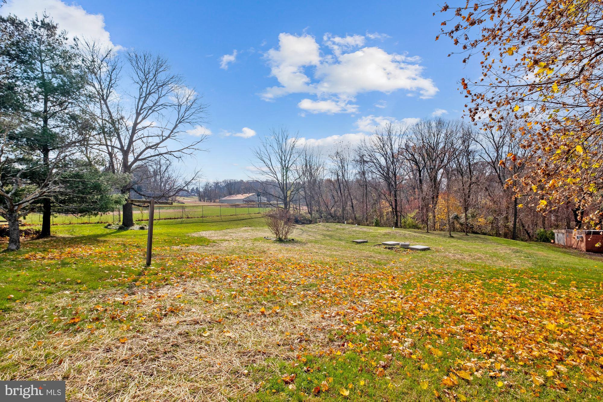 4326 Araby Church Road Frederick, MD 21704 - Photo 28 of 34 Large private backyard