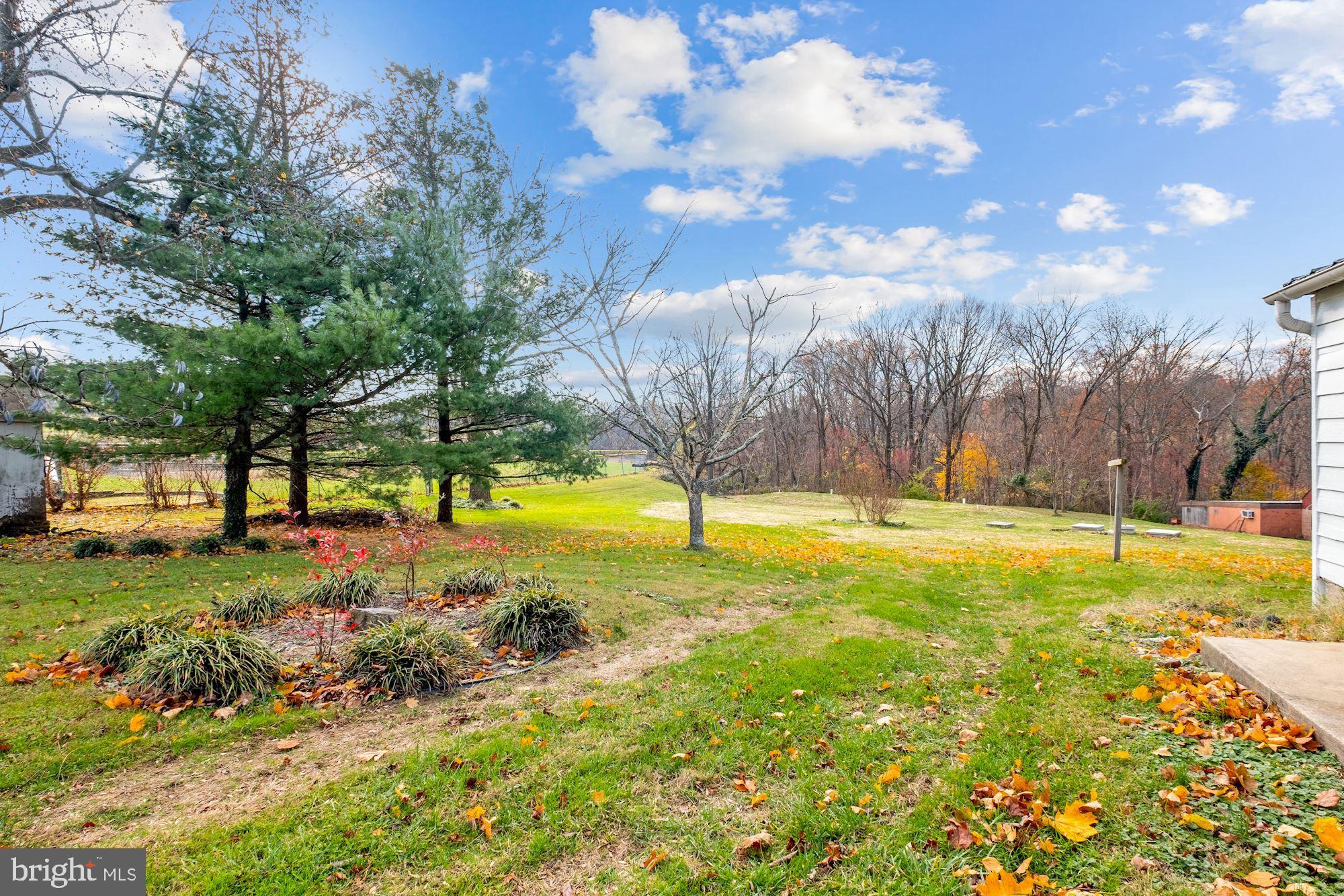 4326 Araby Church Road Frederick, MD 21704 - Photo 29 of 34 Serene views from Backyard