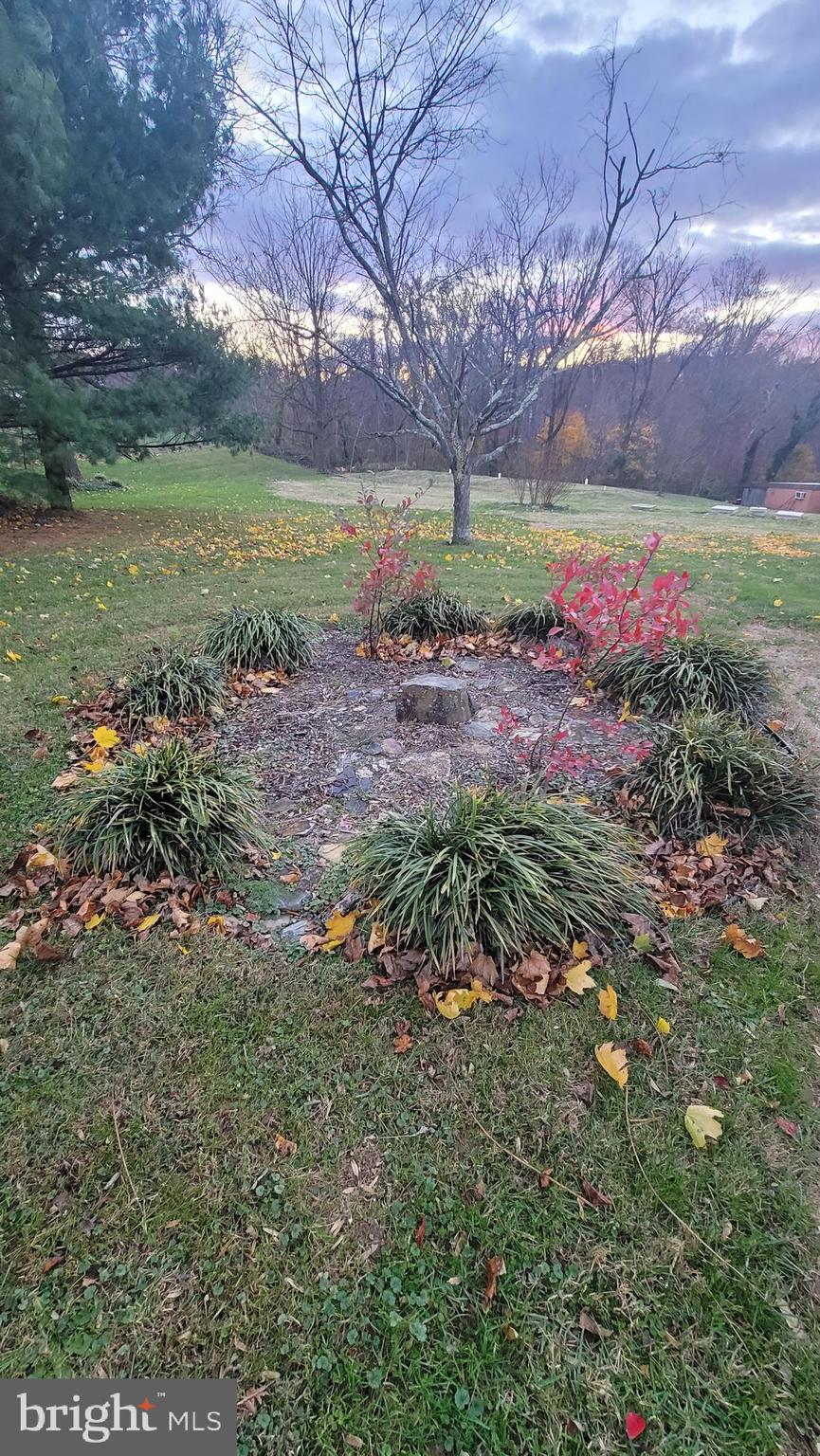4326 Araby Church Road Frederick, MD 21704 - Photo 33 of 34 Garden