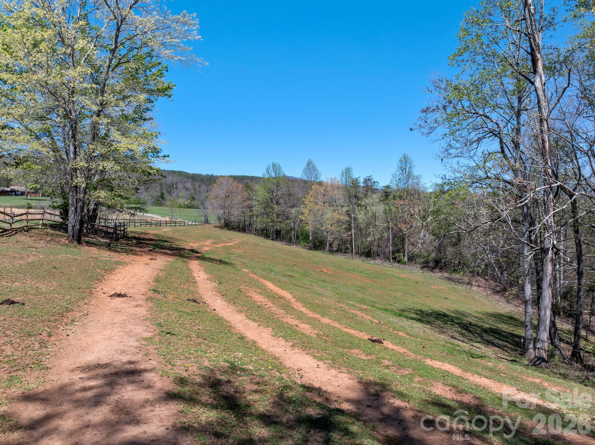 1434 Lake Adger Road Mill Spring, NC 28756 - Photo 39 of 47 a view of a yard with trees