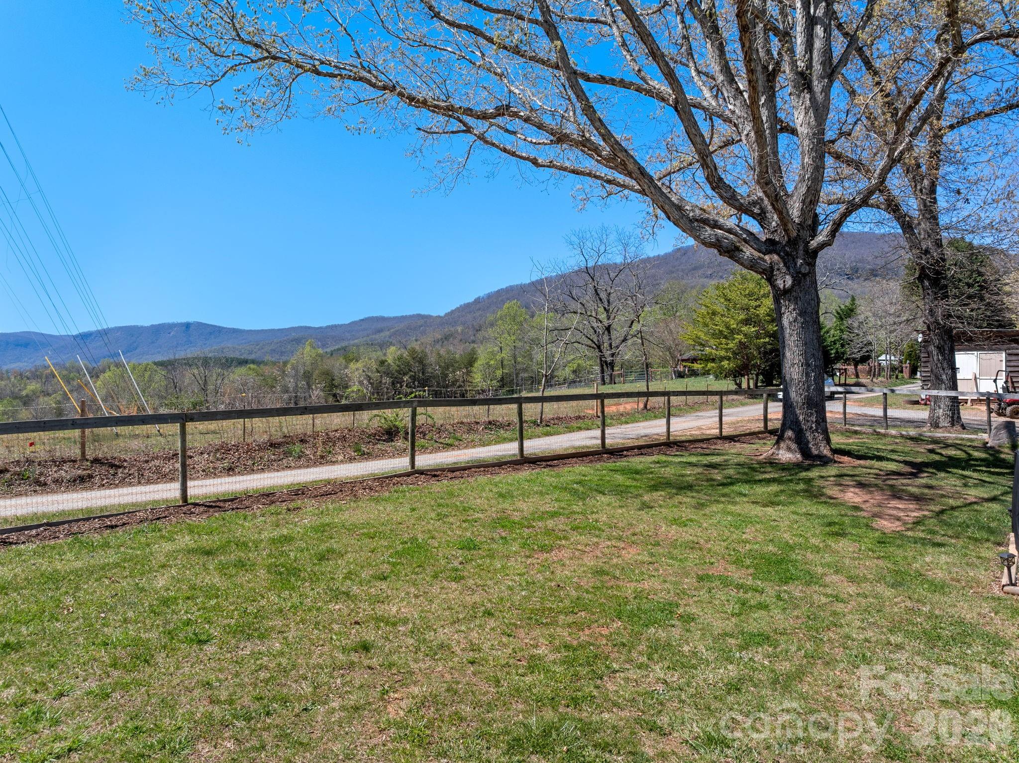 1434 Lake Adger Road Mill Spring, NC 28756 - Photo 40 of 47 a view of a yard with an tree