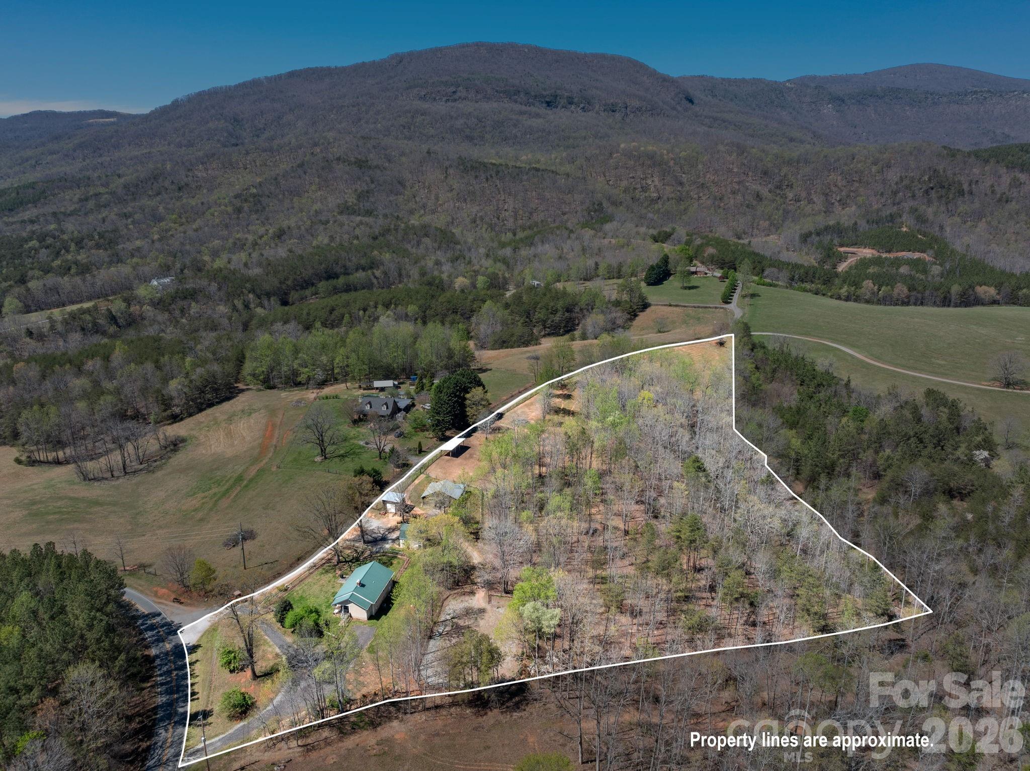 1434 Lake Adger Road Mill Spring, NC 28756 - Photo 47 of 47 an aerial view of a house