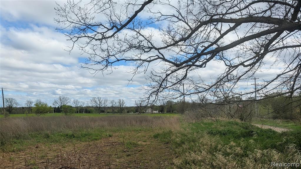 Parcel E Hogan Road Linden, MI 48451 - Photo 20 of 22