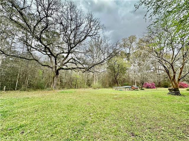 36274 Ebb Guillot Road Pearl River, LA 70452 - Photo 17 of 34