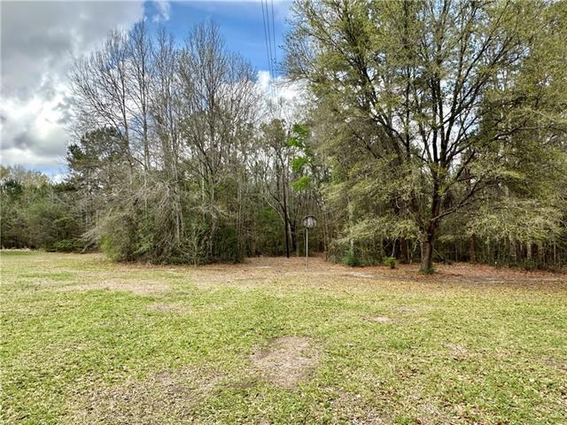 36274 Ebb Guillot Road Pearl River, LA 70452 - Photo 30 of 34