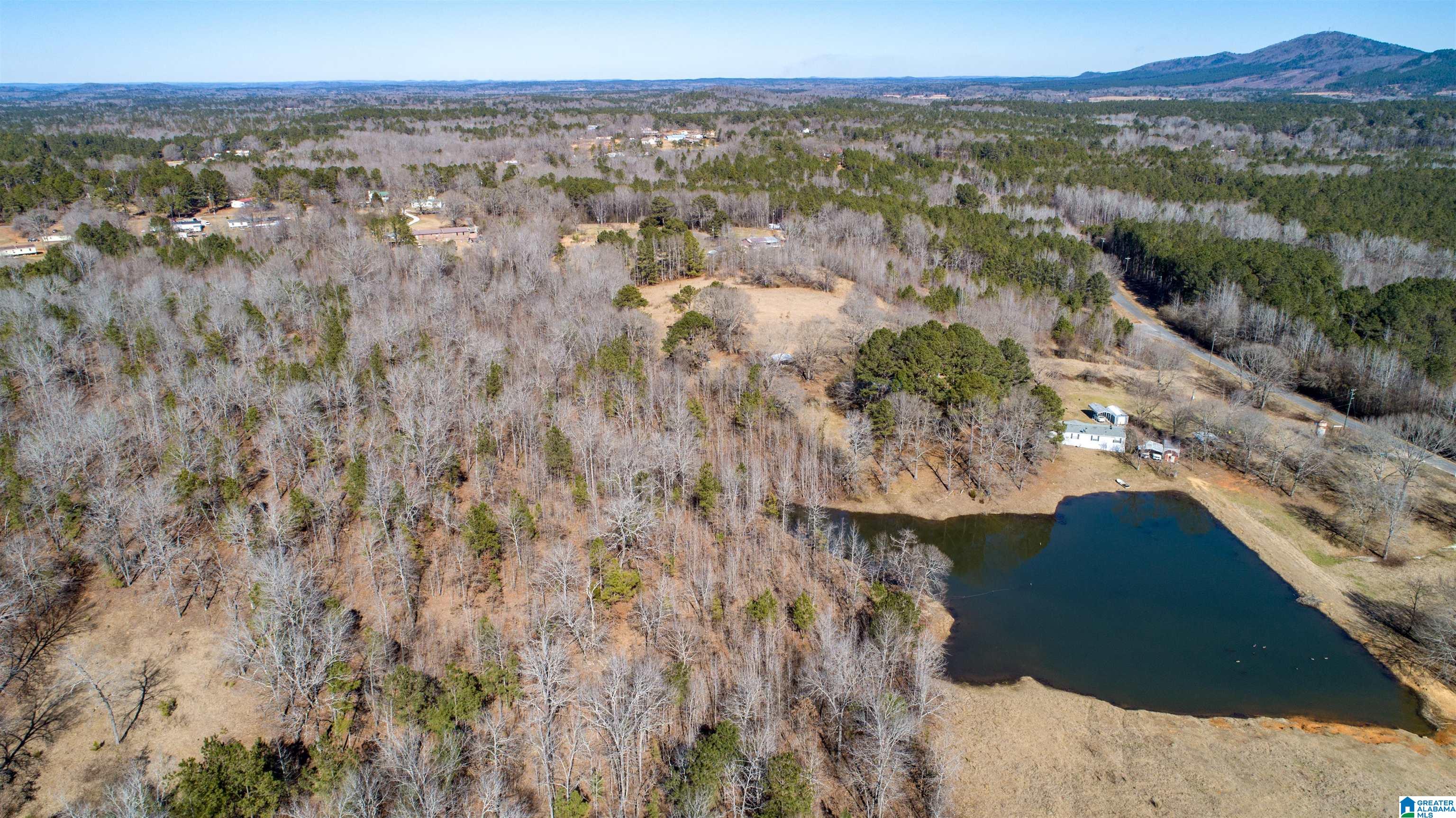 3086 Feddisburg Road, Unit ACREAGE SECTIONS 1 & 2 Alpine, AL 35014 - Photo 25 of 34