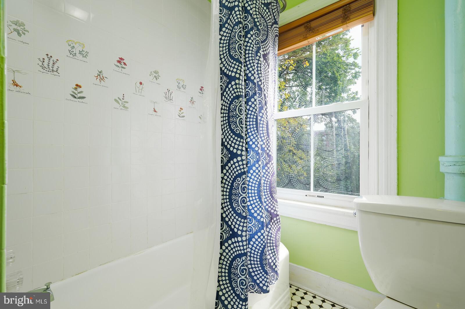 6907 Maple Street Northwest Washington, DC 20012 - Photo 32 of 62 Gallery Image 32