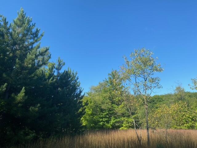 0 West Sharon Road Southwest Fife Lake, MI 49633 - Photo 1 of 6 image6 (1)