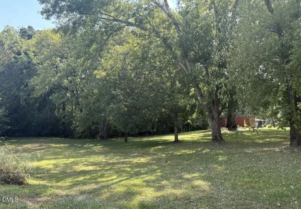 a view of a tree in a yard