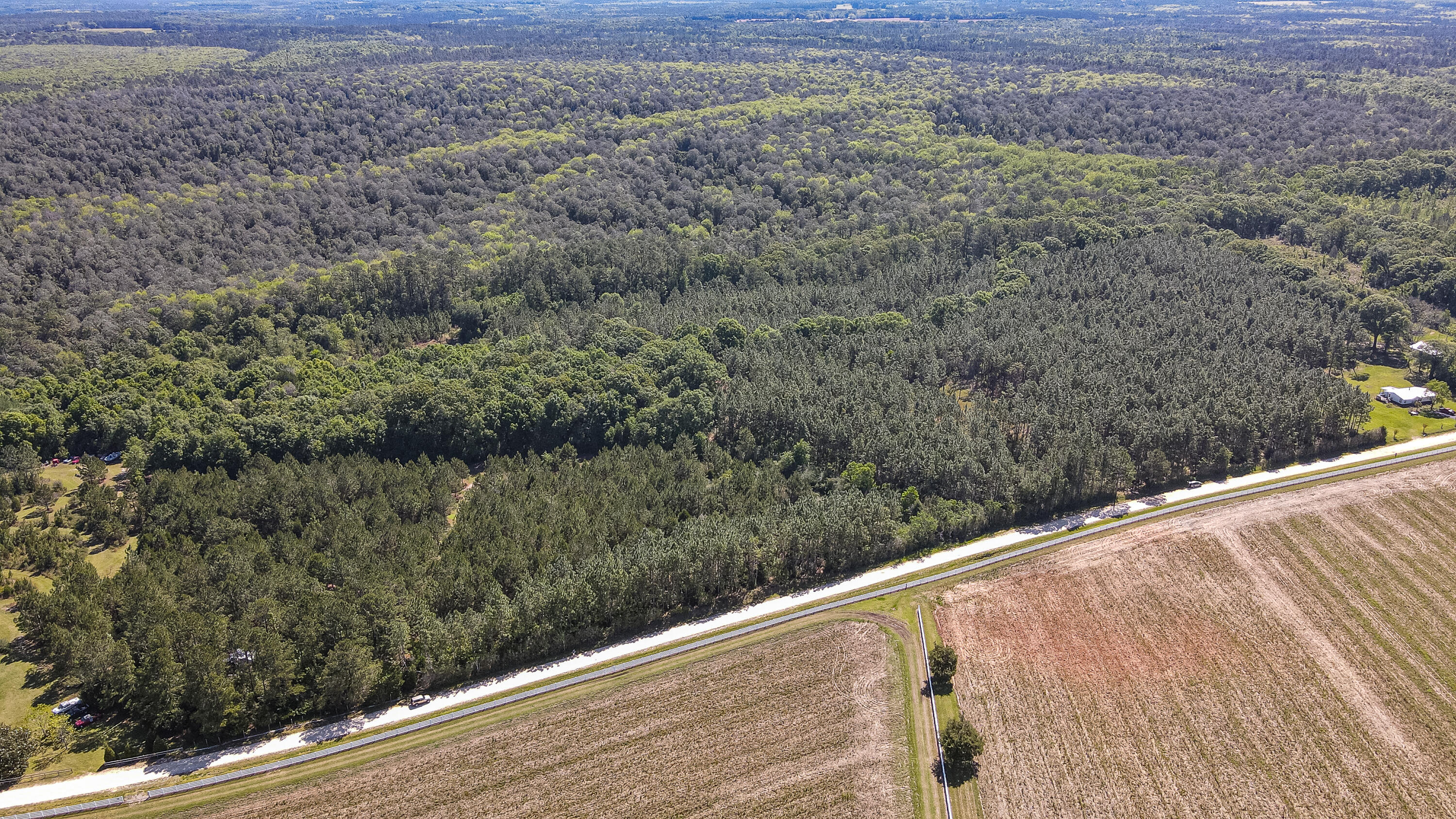 Tbd Harrison Road DeFuniak Springs, FL 32433 - Photo 12 of 18 Harrison Road-5