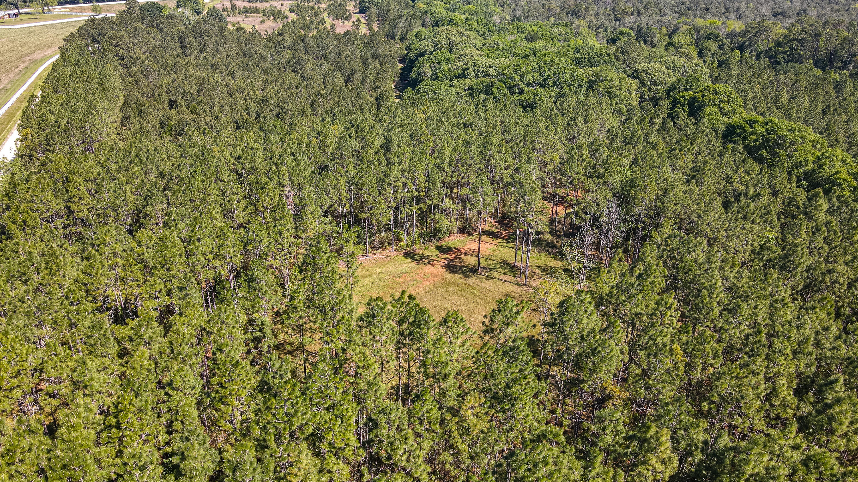 Tbd Harrison Road DeFuniak Springs, FL 32433 - Photo 18 of 18 Harrison Road-11