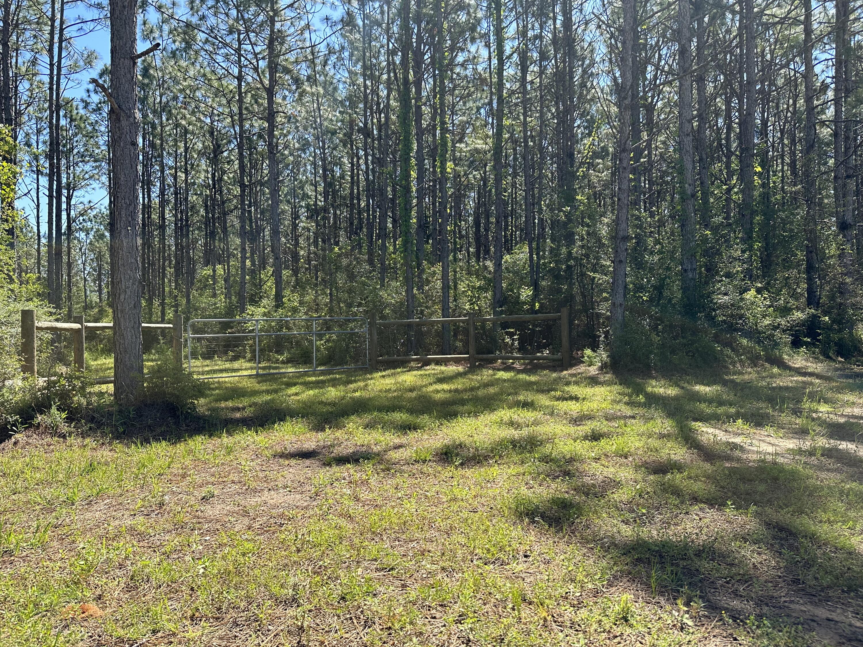 Tbd Harrison Road DeFuniak Springs, FL 32433 - Photo 3 of 18 IMG-1853