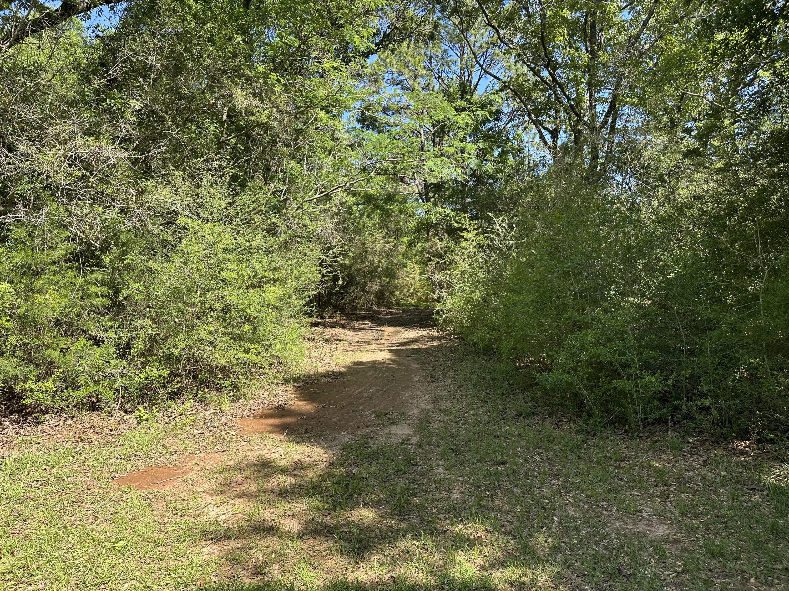 Tbd Harrison Road DeFuniak Springs, FL 32433 - Photo 8 of 18 IMG-1863