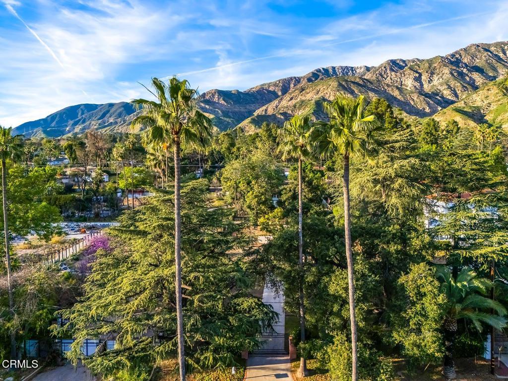 1277 Rubio Street Altadena, CA 91001 - Photo 19 of 19 a view of a yard
