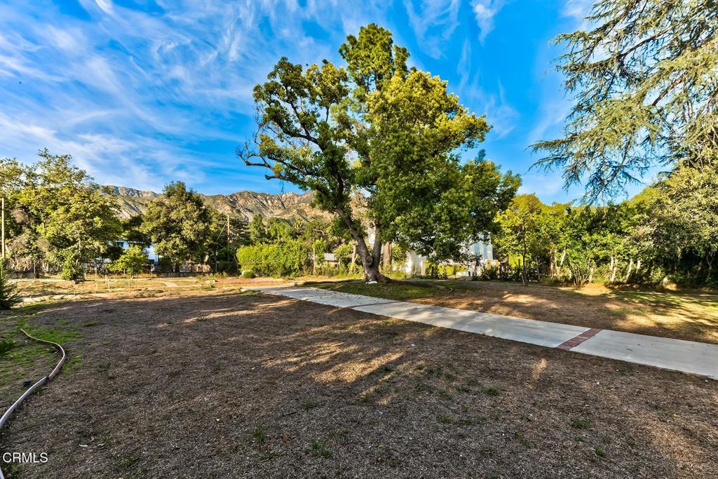1277 Rubio Street Altadena, CA 91001 - Photo 4 of 19 a backyard of a house with lots of green space
