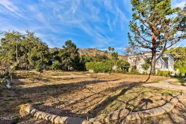 a view of a yard with trees