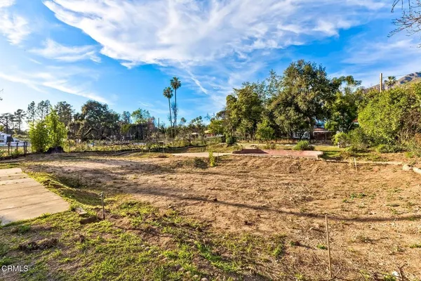 a view of dirt field with trees