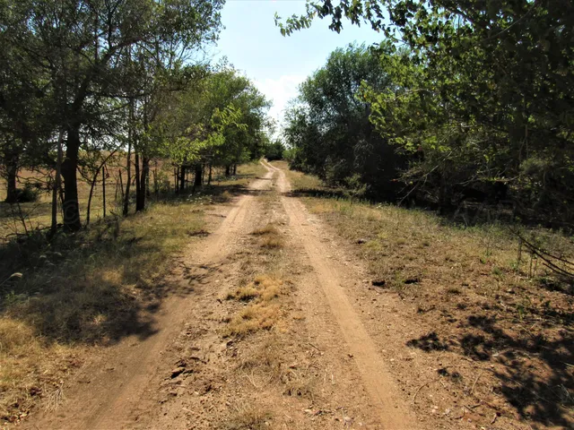 an aerial view of house with yard and trees in the background