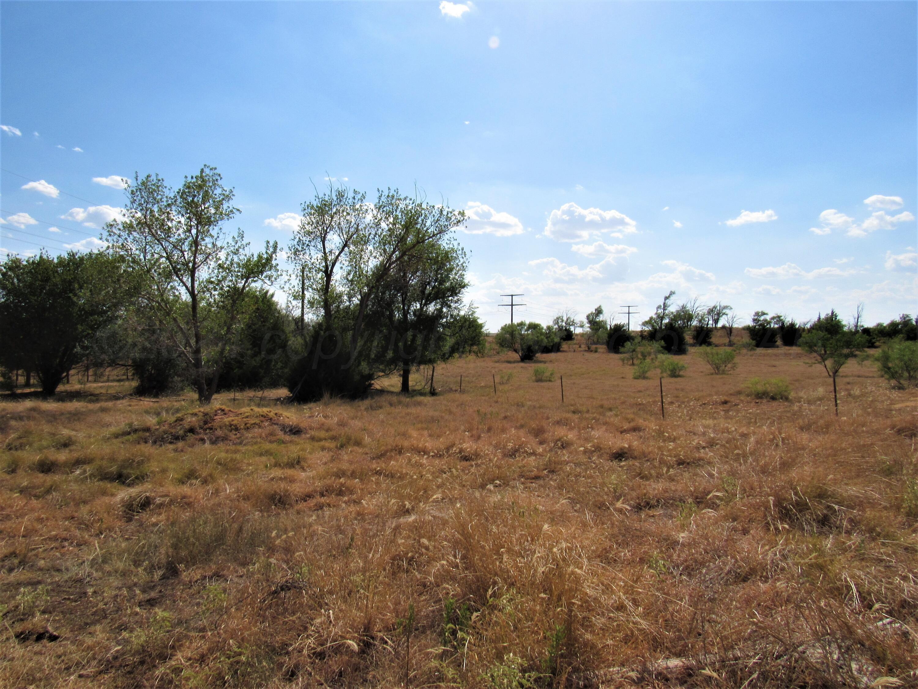 6761 County Road 11 Shamrock, TX 79079 - Photo 27 of 33 a view of a dry yard with trees
