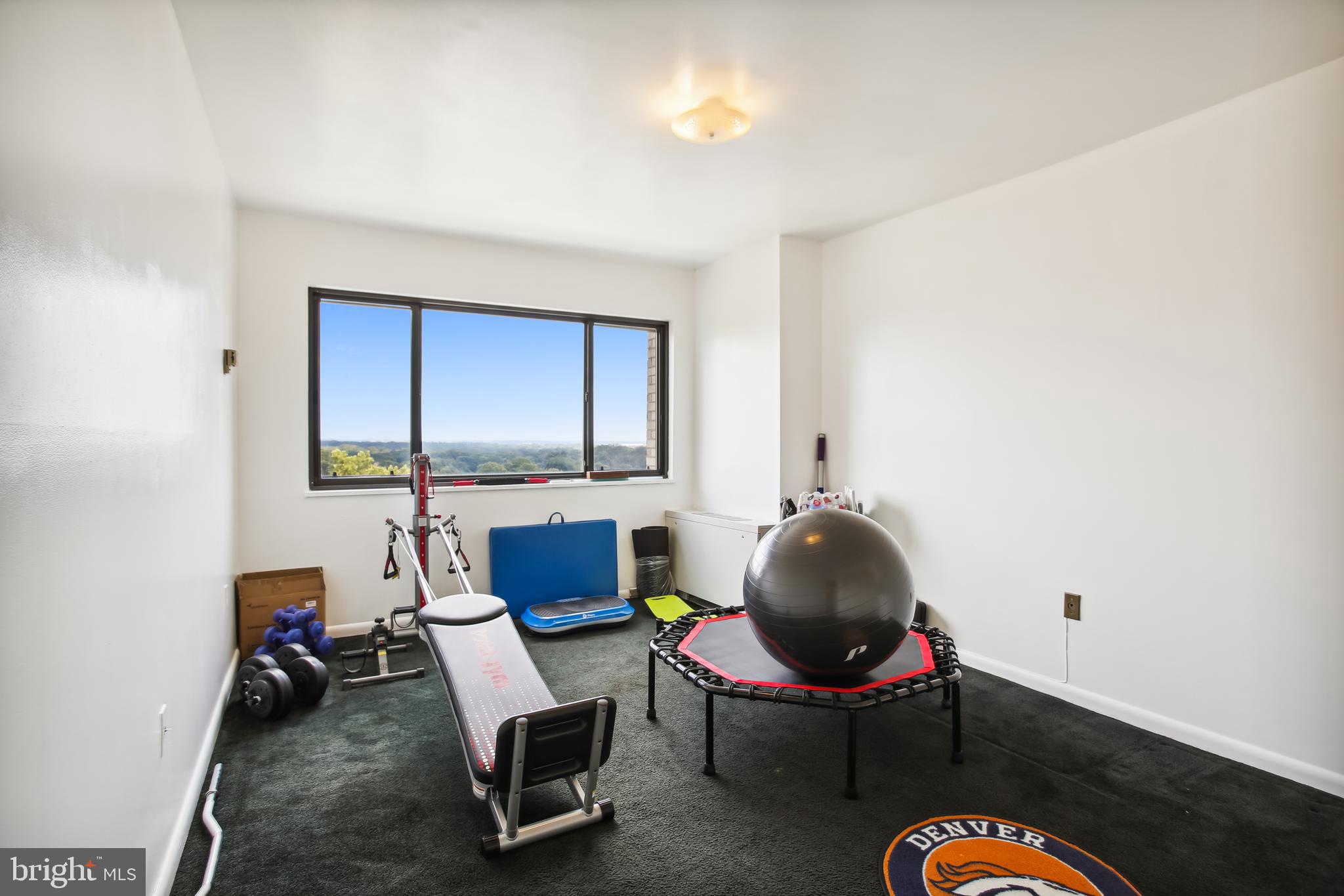 8830 Piney Branch Road, Unit 1111 Silver Spring, MD 20903 - Photo 26 of 56