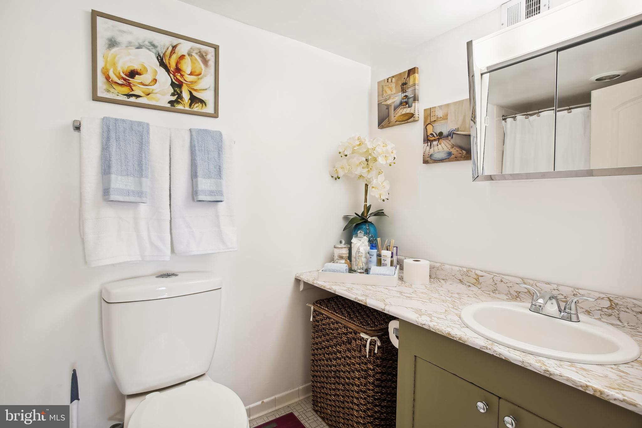 8830 Piney Branch Road, Unit 1111 Silver Spring, MD 20903 - Photo 36 of 56