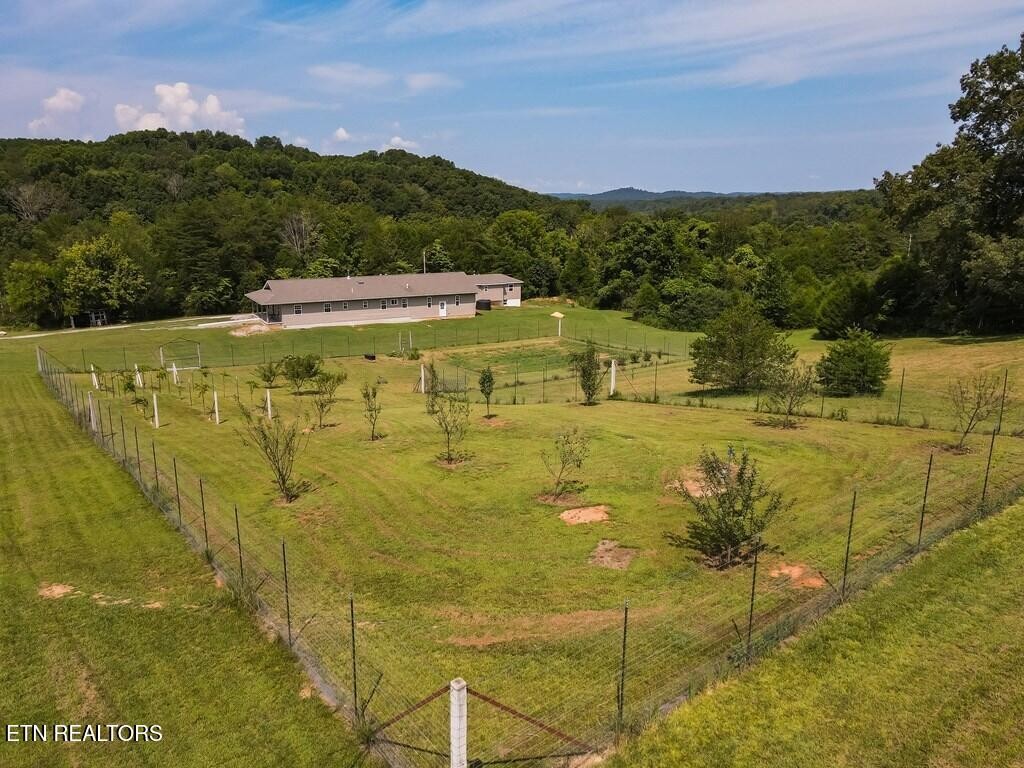 1518 Cummingsville And Sparkman Road Doyle, TN 38559 - Photo 8 of 58 a view of a lake with a mountain in the background