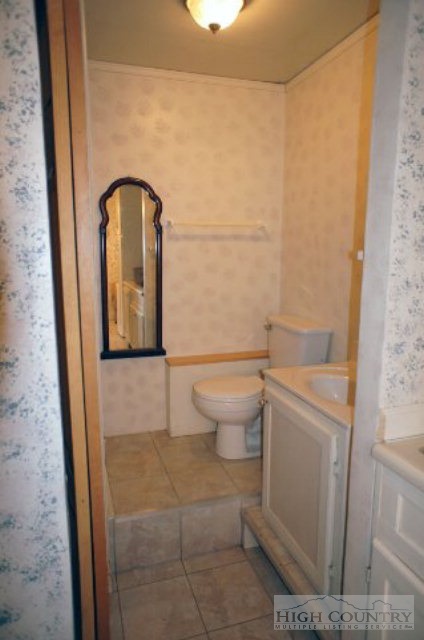 1994 Chestnut Grove Road Boone, NC 28607 - Photo 5 of 43 a bathroom with a toilet and a sink