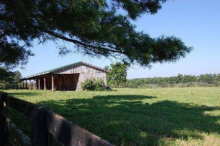 353 Stoney Point Road Paris, KY 40361 - Photo 4 of 16 Photo 4