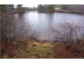 0 Rte 10 Marlow, NH 03456 - Photo 4 of 5 Gallery Image 4