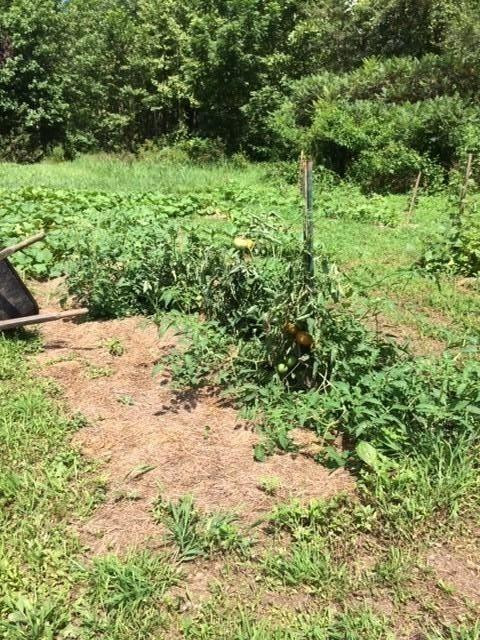 2392 Disputanta Road Mount Vernon, KY 40456 - Photo 21 of 23 Photo 21