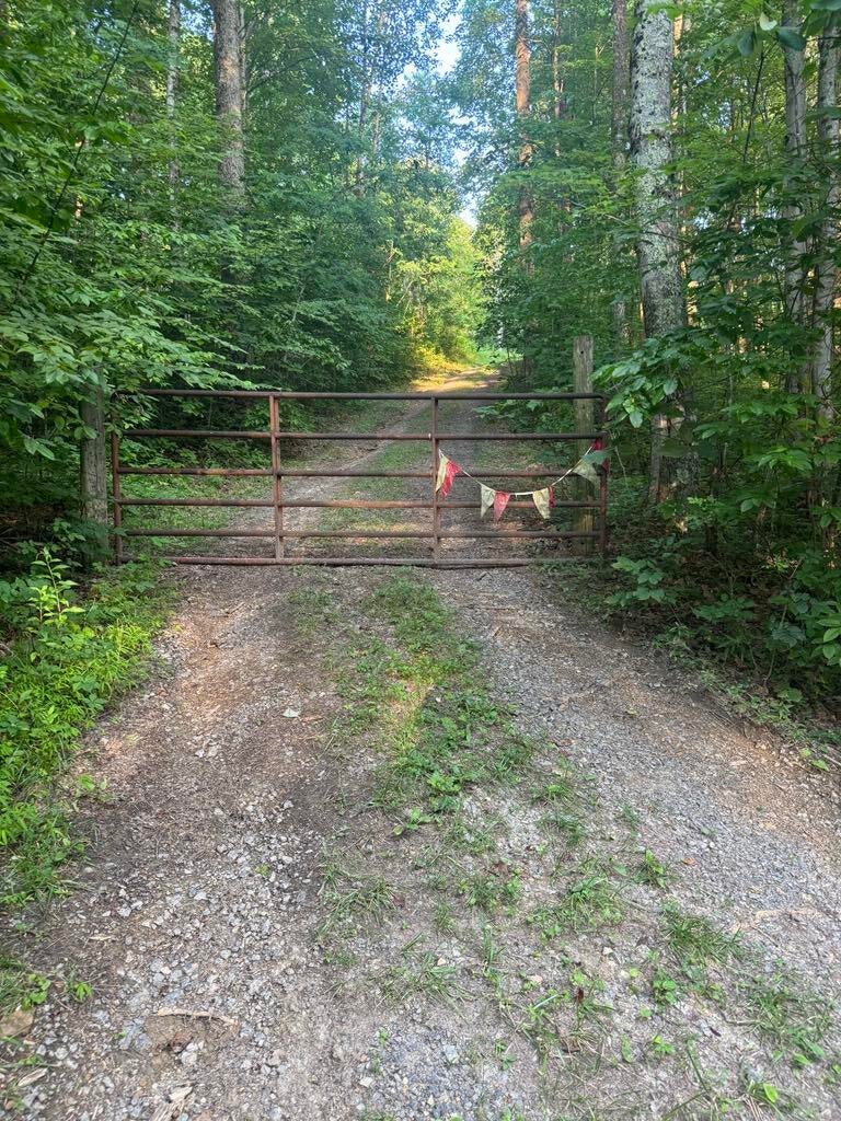 Backus Mountain Rd Meadow Bridge Meadow Bridge, WV 25976 - Photo 1 of 5 Gallery Image 1