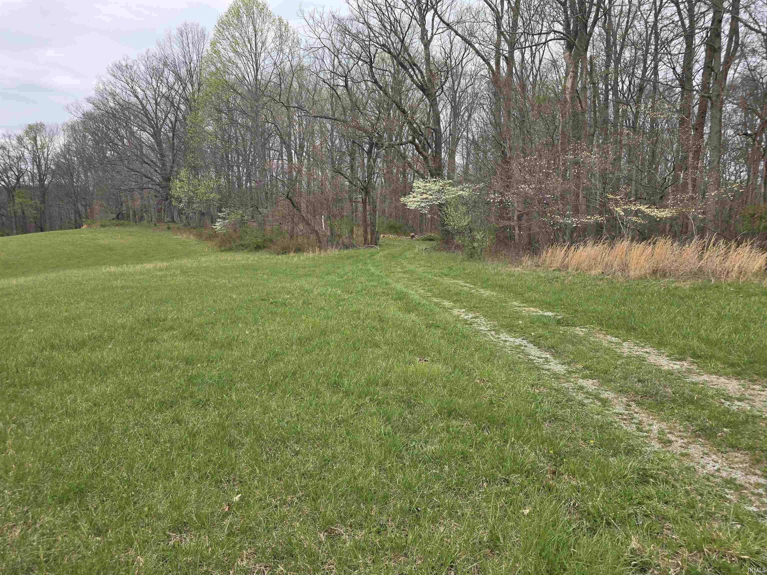 9507 North Neill Road Bloomfield, IN 47424 - Photo 5 of 10