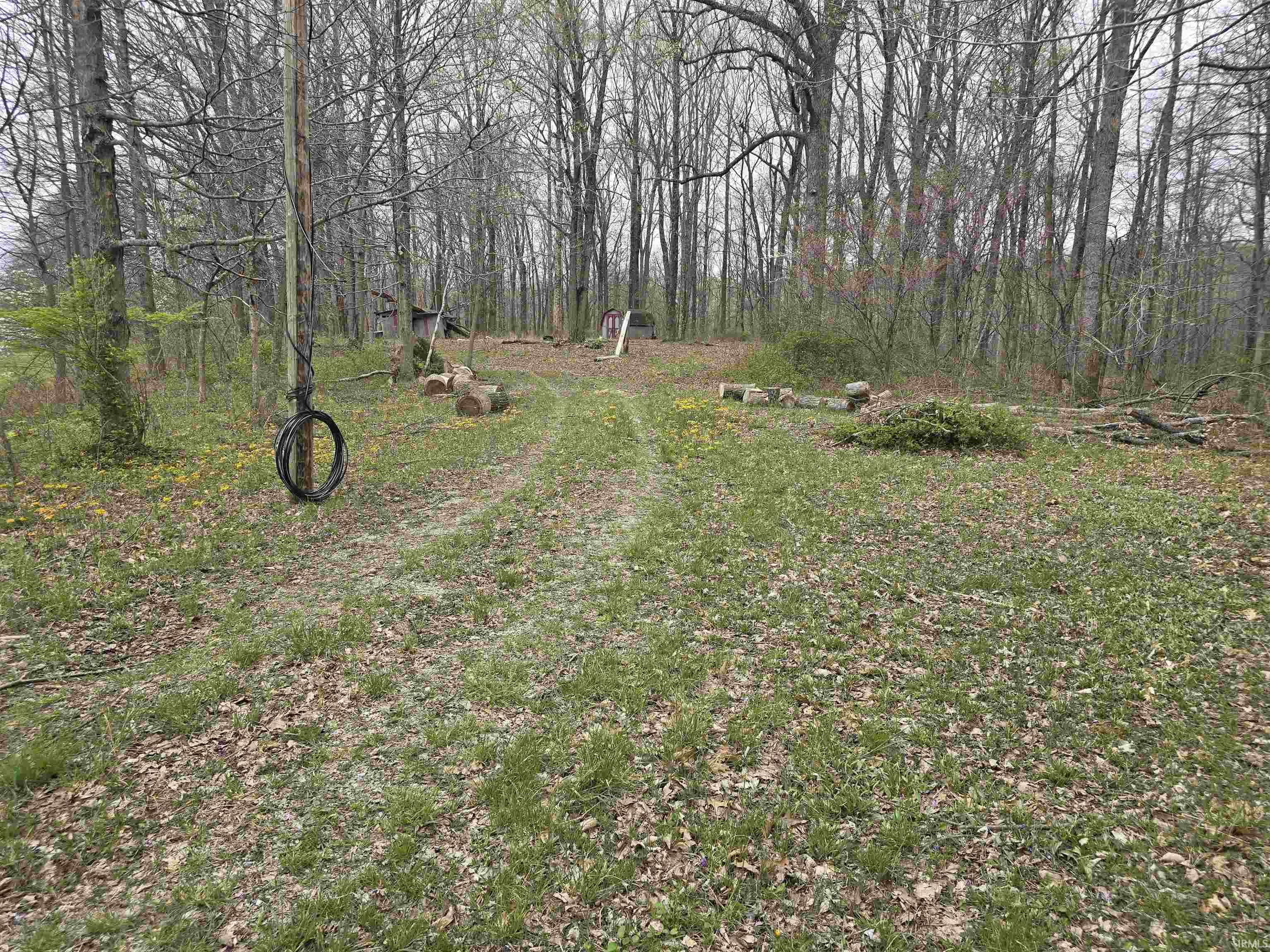 9507 North Neill Road Bloomfield, IN 47424 - Photo 6 of 10