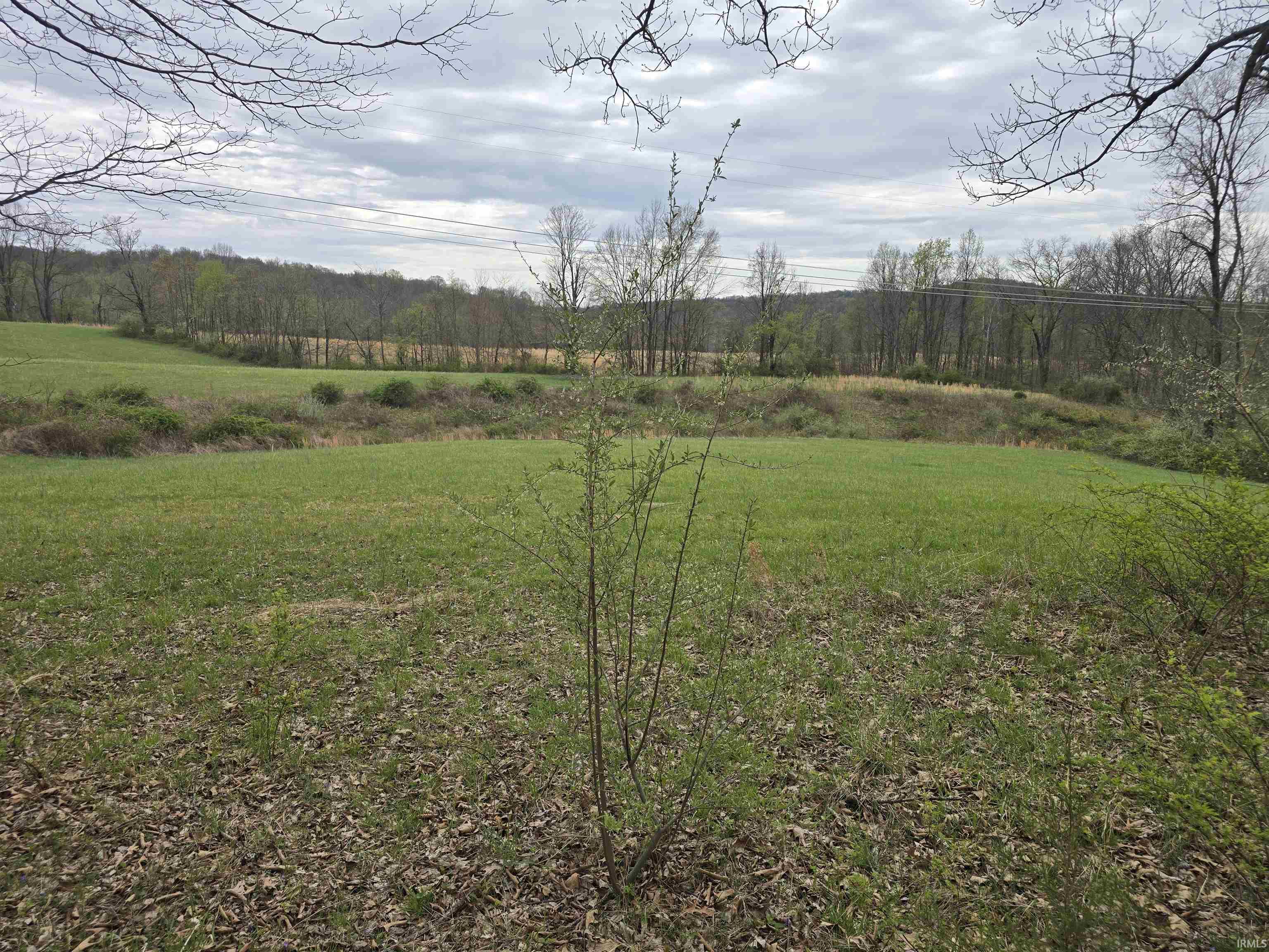 9507 North Neill Road Bloomfield, IN 47424 - Photo 7 of 10